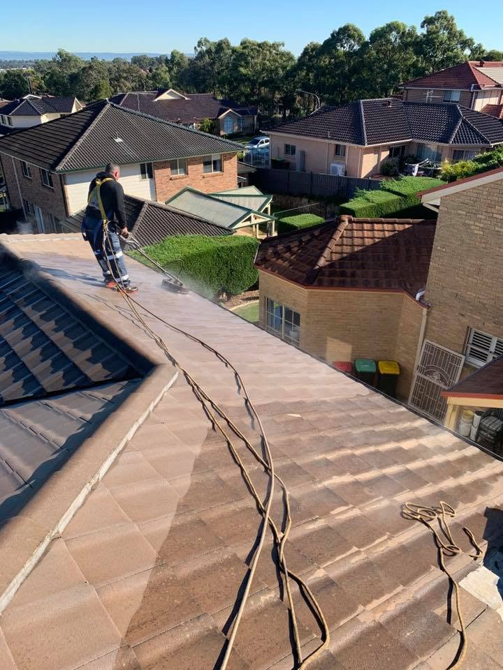 Tile roof during high-pressure clean — dirty vs cleaned tiles
